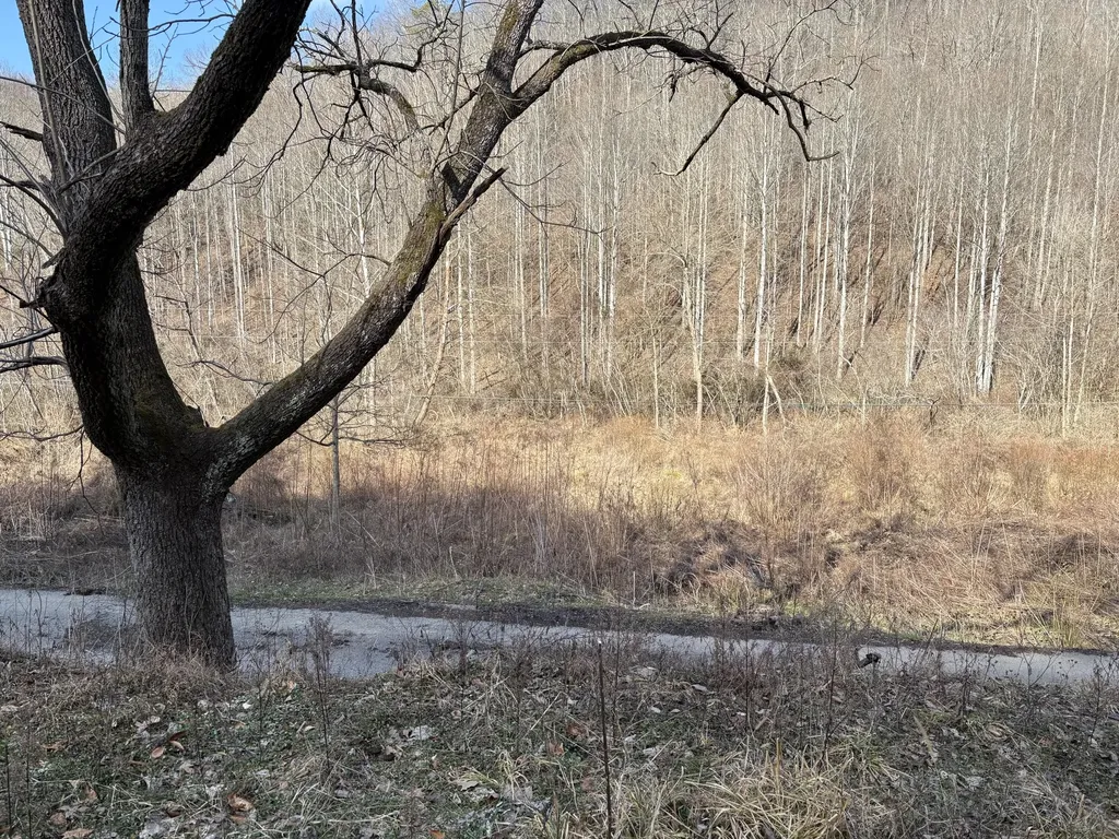1610 Brices Creek Road Flat Lick KY 40935
