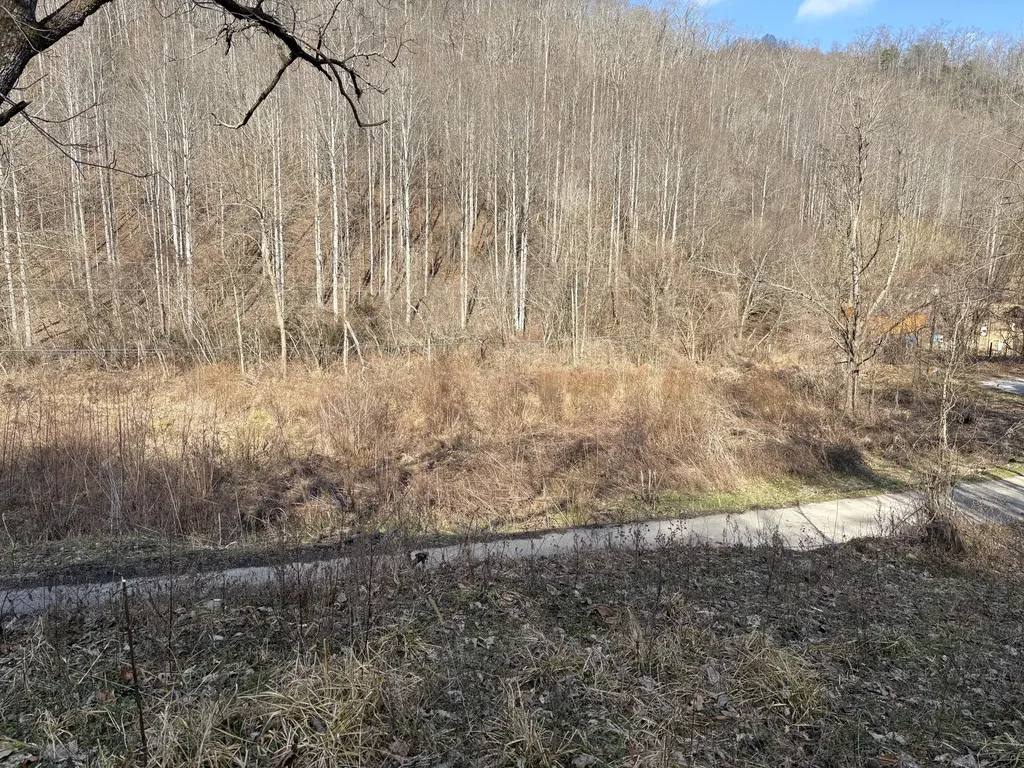 1610 Brices Creek Road Flat Lick KY 40935