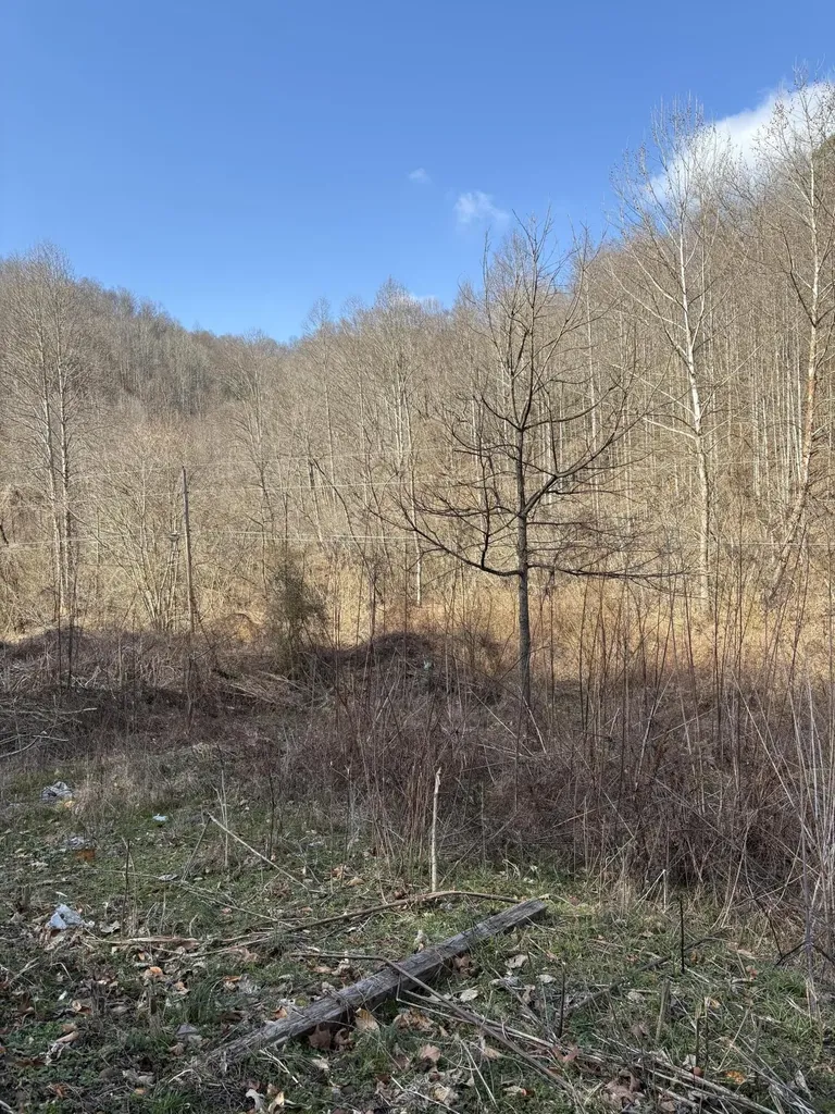1610 Brices Creek Road Flat Lick KY 40935