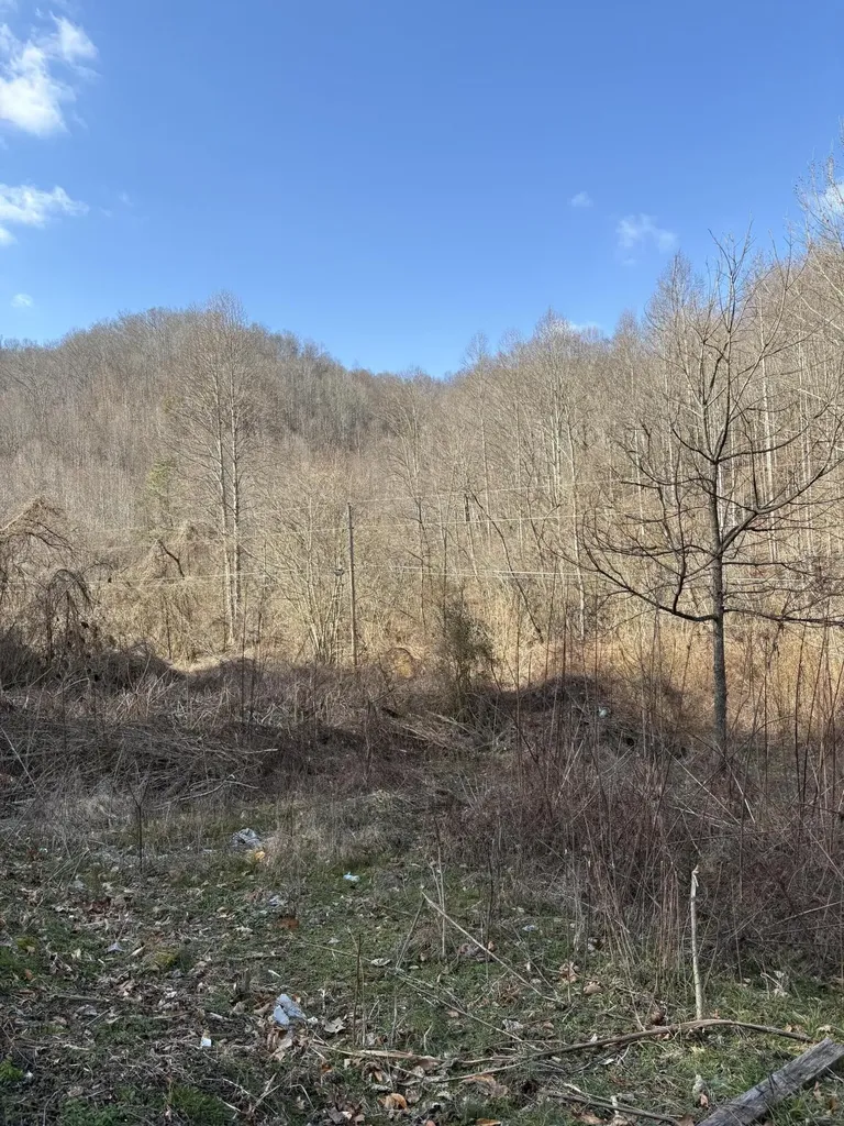 1610 Brices Creek Road Flat Lick KY 40935