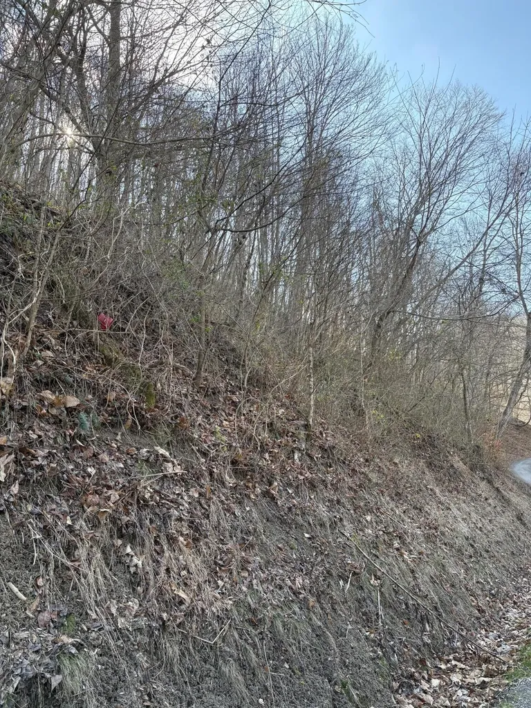 1610 Brices Creek Road Flat Lick KY 40935