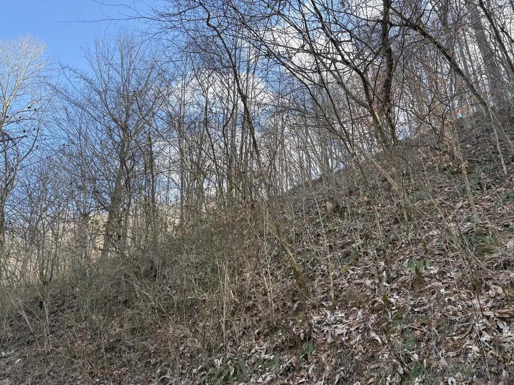 1610 Brices Creek Road Flat Lick KY 40935