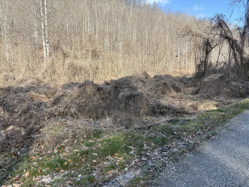 1610 Brices Creek Road Flat Lick KY 40935