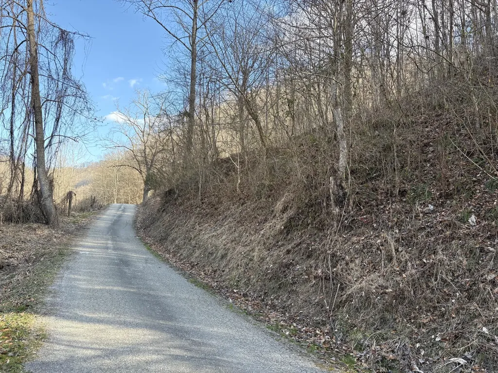 1610 Brices Creek Road Flat Lick KY 40935
