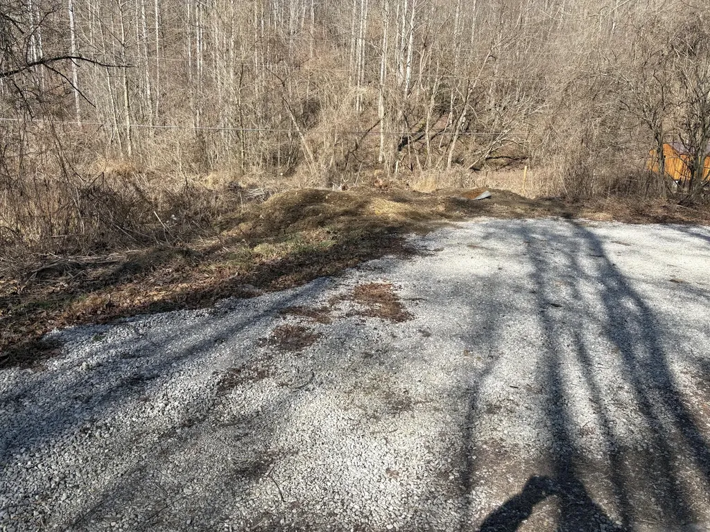 1610 Brices Creek Road Flat Lick KY 40935
