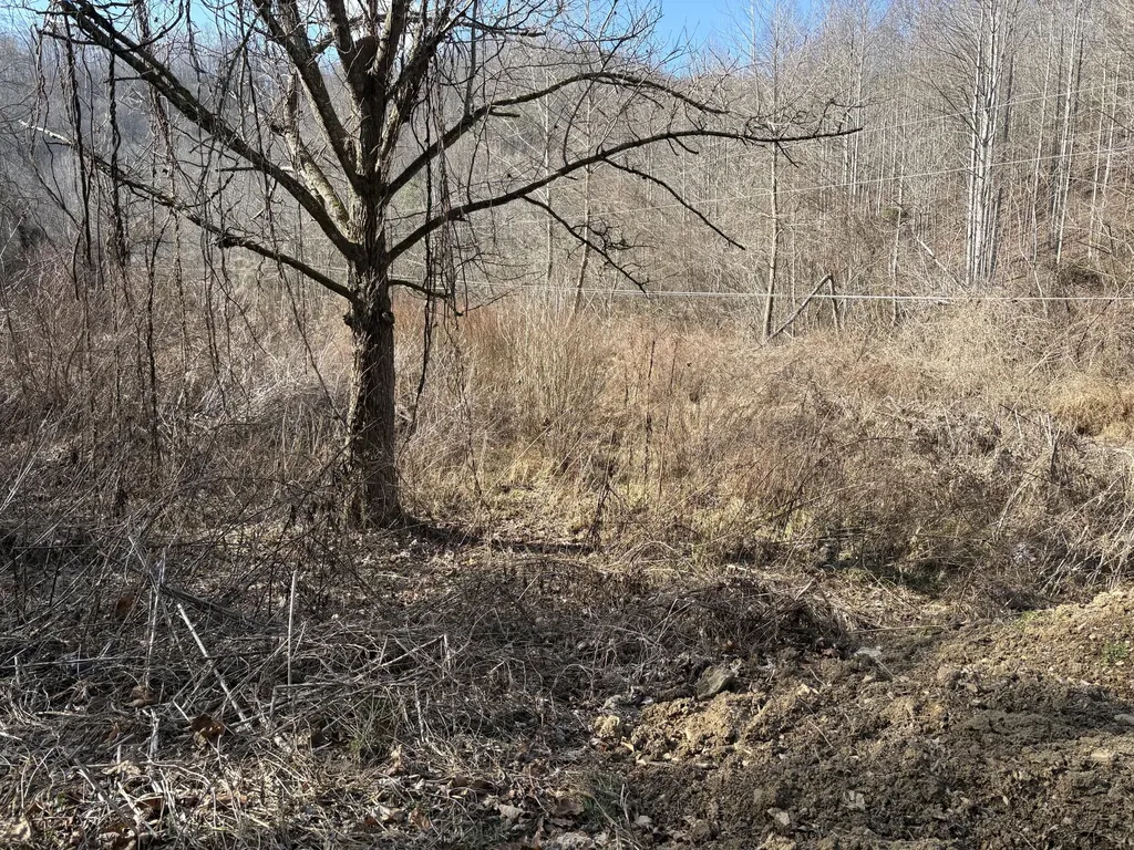 1610 Brices Creek Road Flat Lick KY 40935