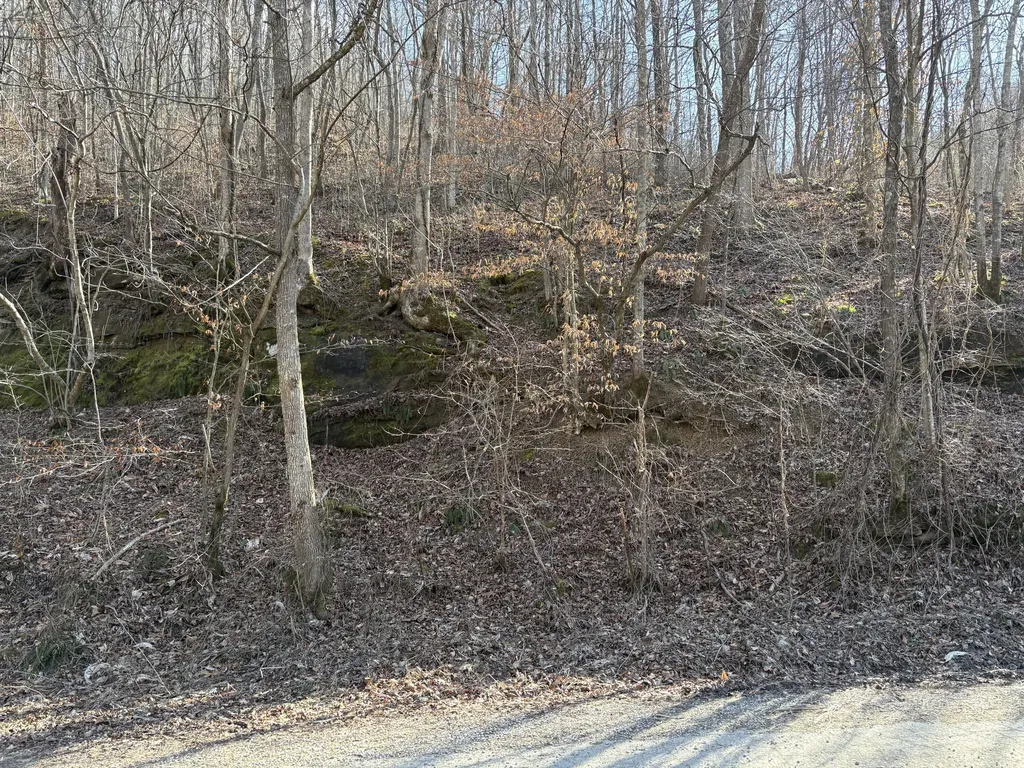1610 Brices Creek Road Flat Lick KY 40935