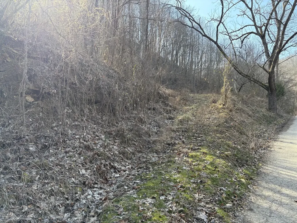 1610 Brices Creek Road Flat Lick KY 40935