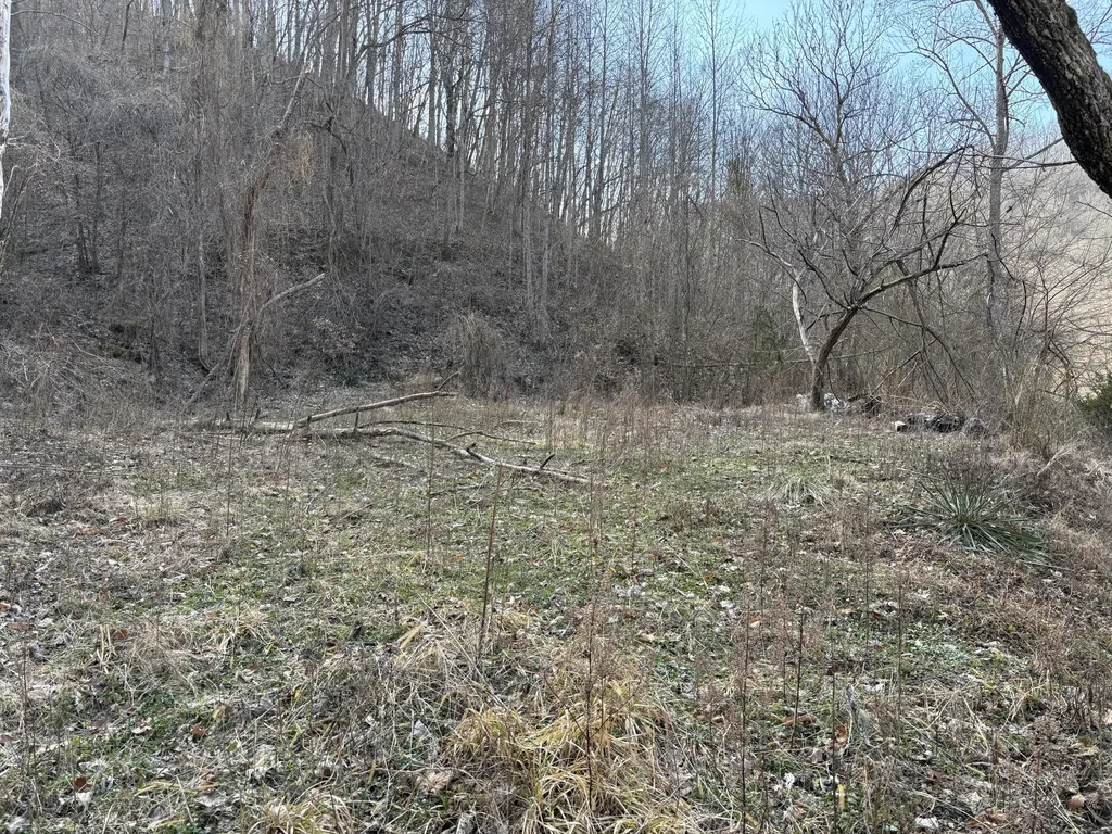 1610 Brices Creek Road Flat Lick KY 40935