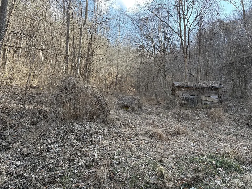 1610 Brices Creek Road Flat Lick KY 40935