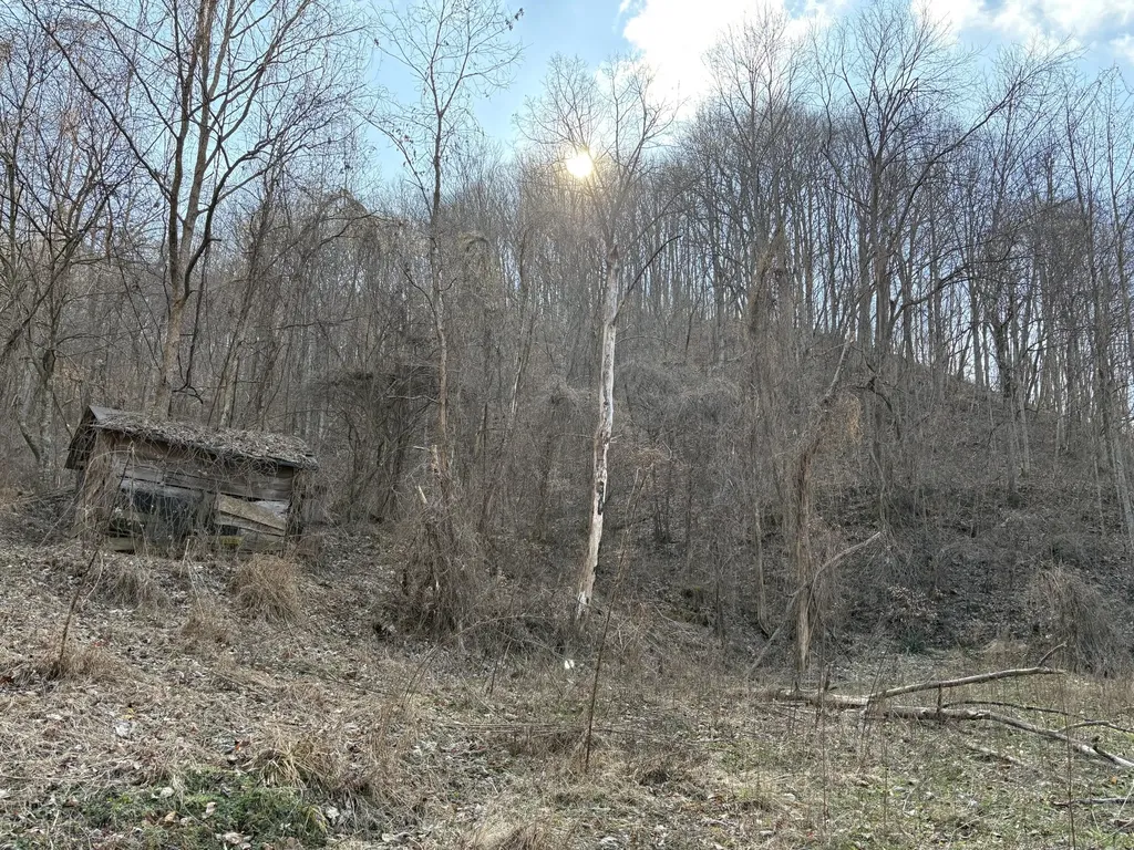 1610 Brices Creek Road Flat Lick KY 40935