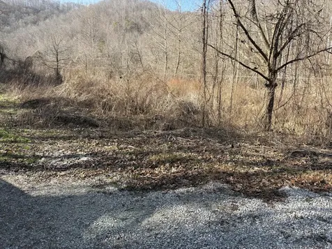 1610 Brices Creek Road Flat Lick KY 40935