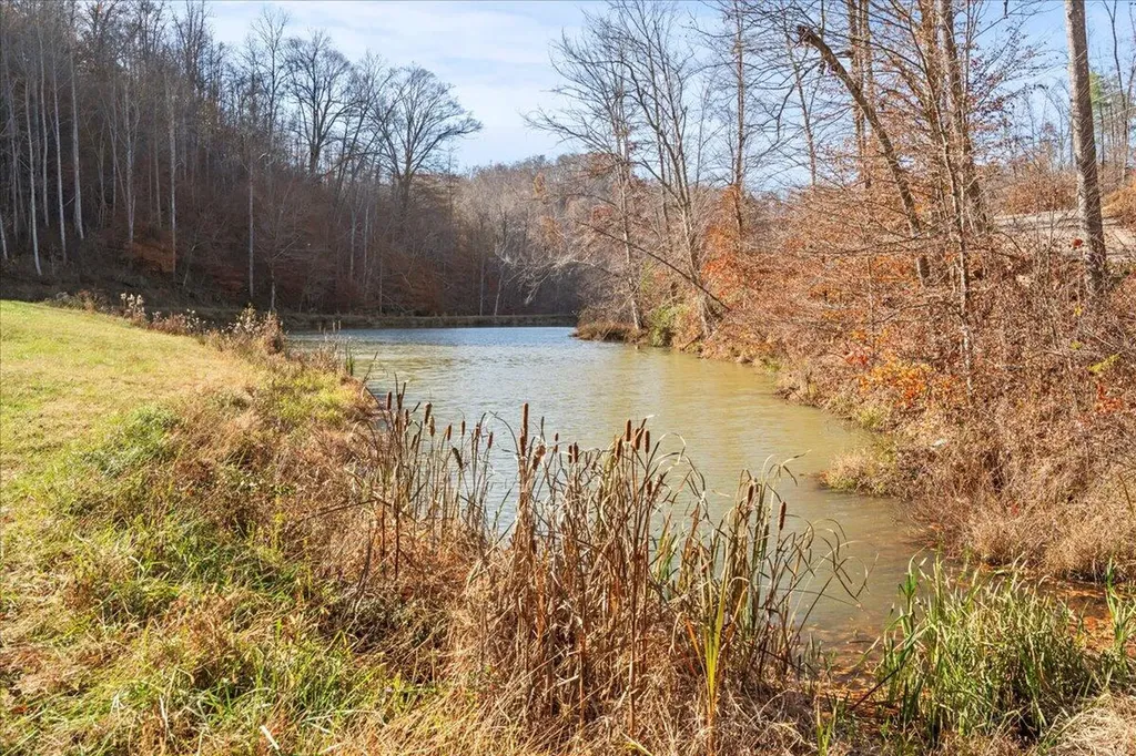 16 Hickory Lane Campton KY 41301