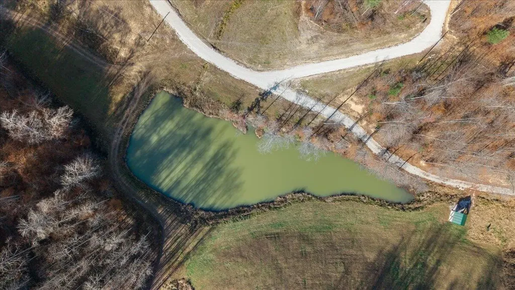 16 Hickory Lane Campton KY 41301