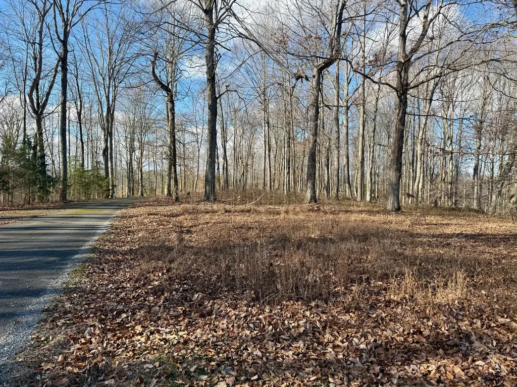 90 Paradise Alley Russell Springs KY 42642