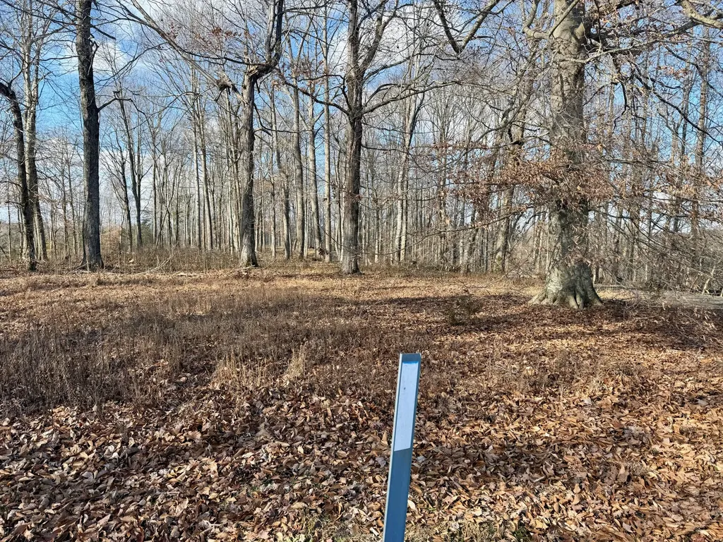 90 Paradise Alley Russell Springs KY 42642