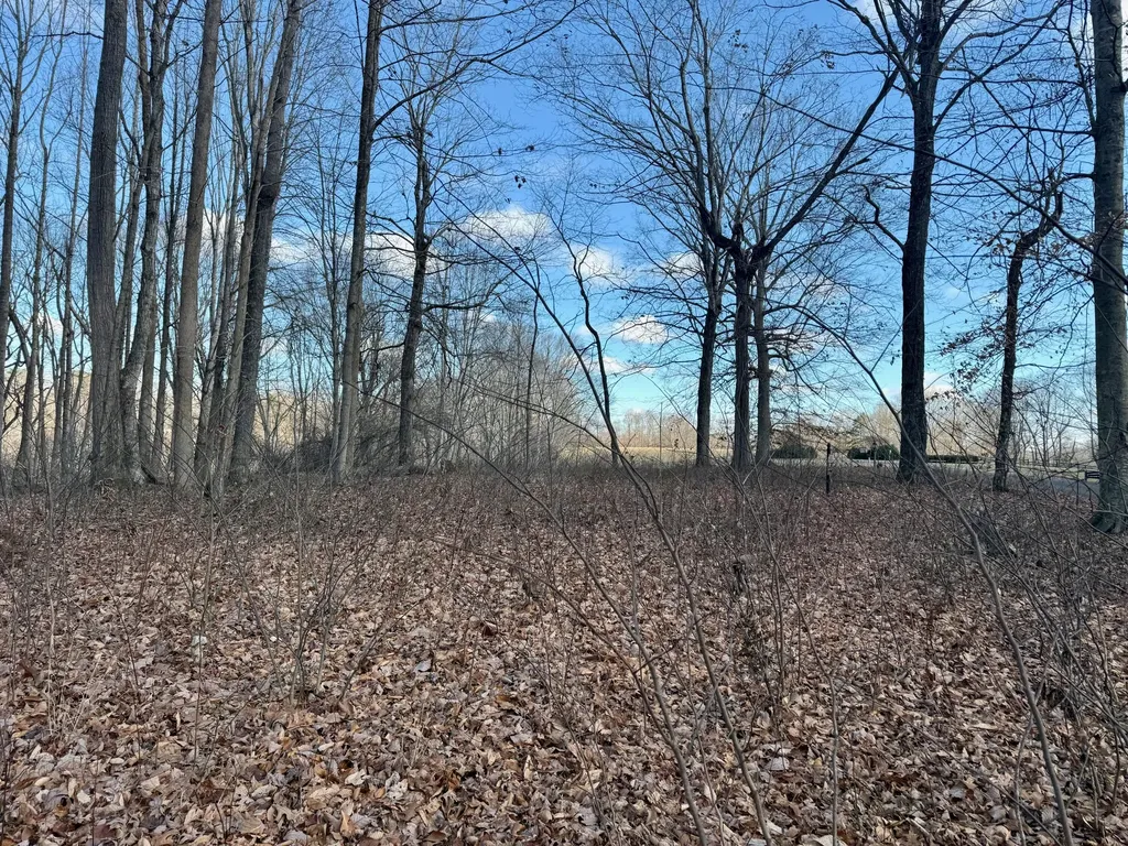 90 Paradise Alley Russell Springs KY 42642