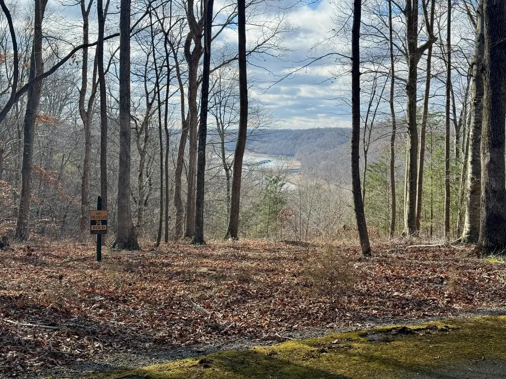 90 Paradise Alley Russell Springs KY 42642