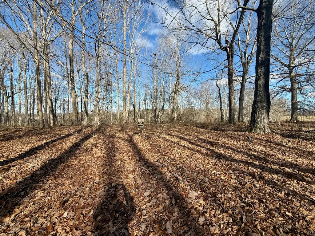 90 Paradise Alley Russell Springs KY 42642