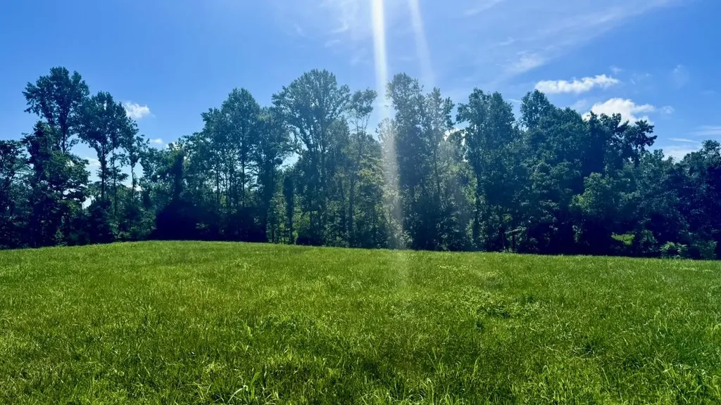 162 Douglas Road Russell Springs KY 42642