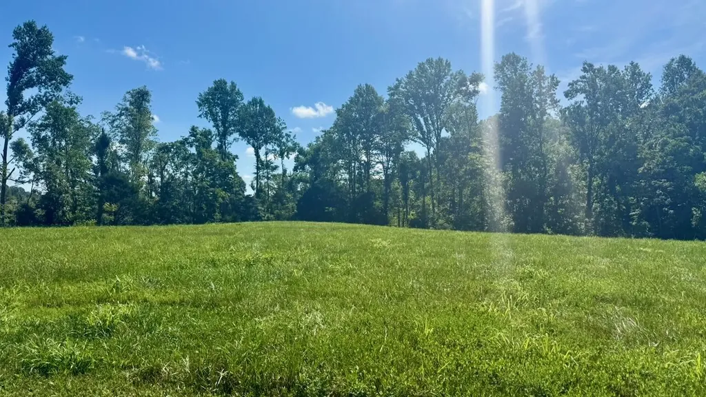 162 Douglas Road Russell Springs KY 42642