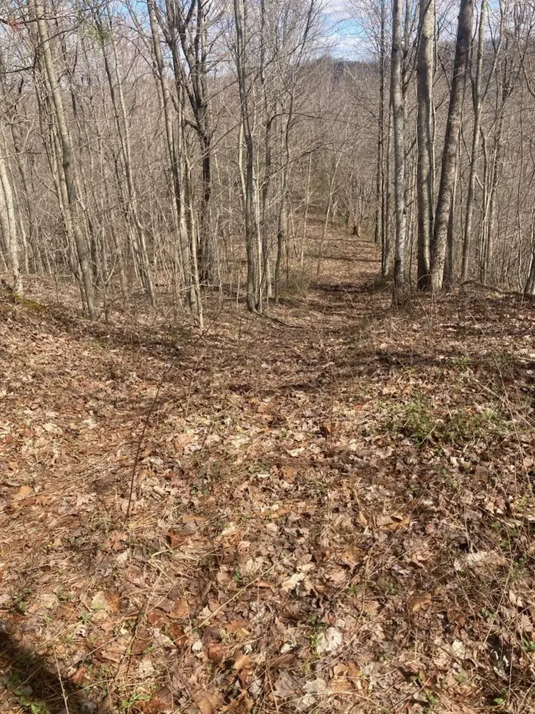 6 Toby Road Manchester KY 40962