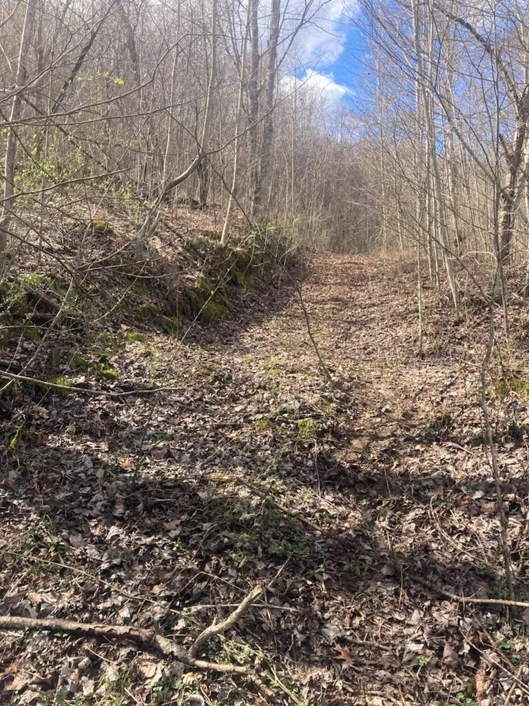 6 Toby Road Manchester KY 40962