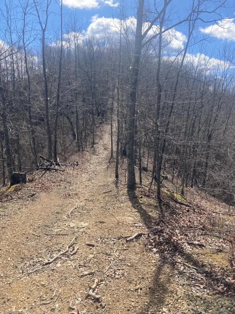 6 Toby Road Manchester KY 40962