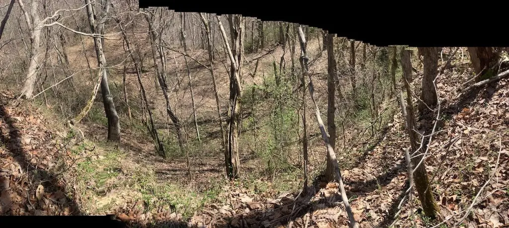 6 Toby Road Manchester KY 40962