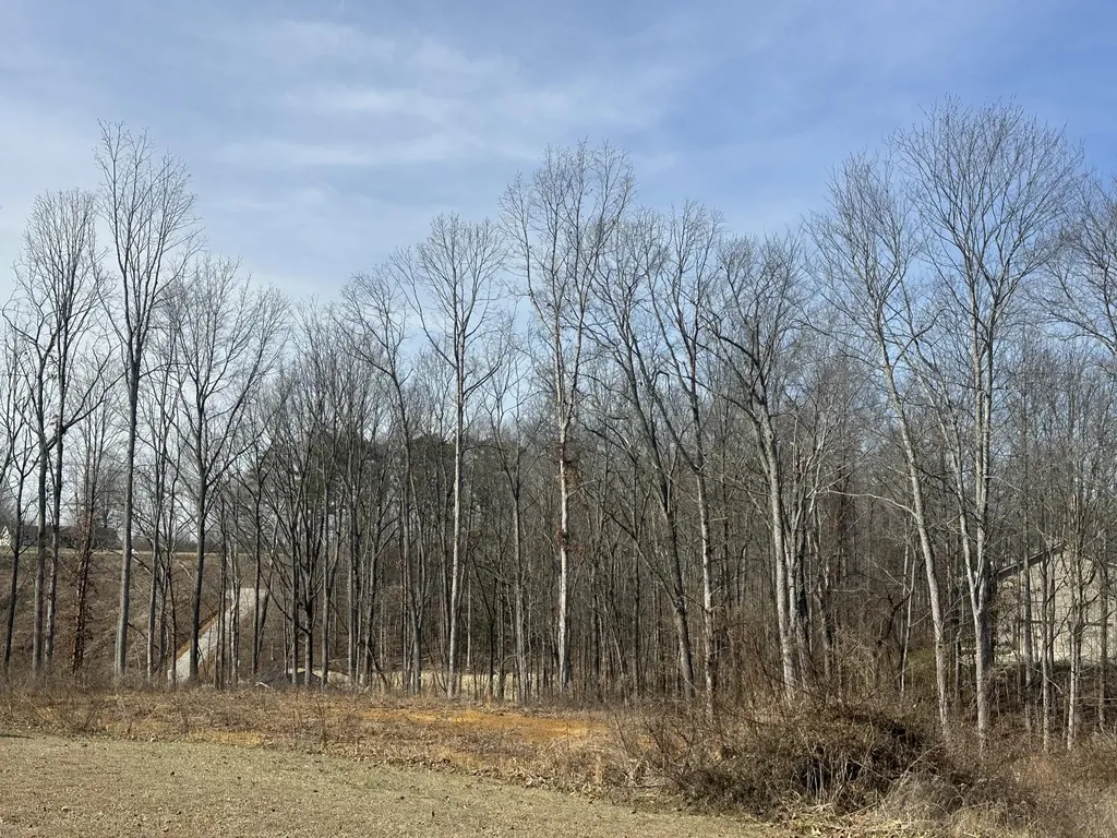 Lot 23 Hollywood Drive Corbin KY 40701