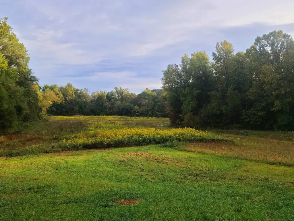 400 Herman Becraft Spur Road Means KY 40346