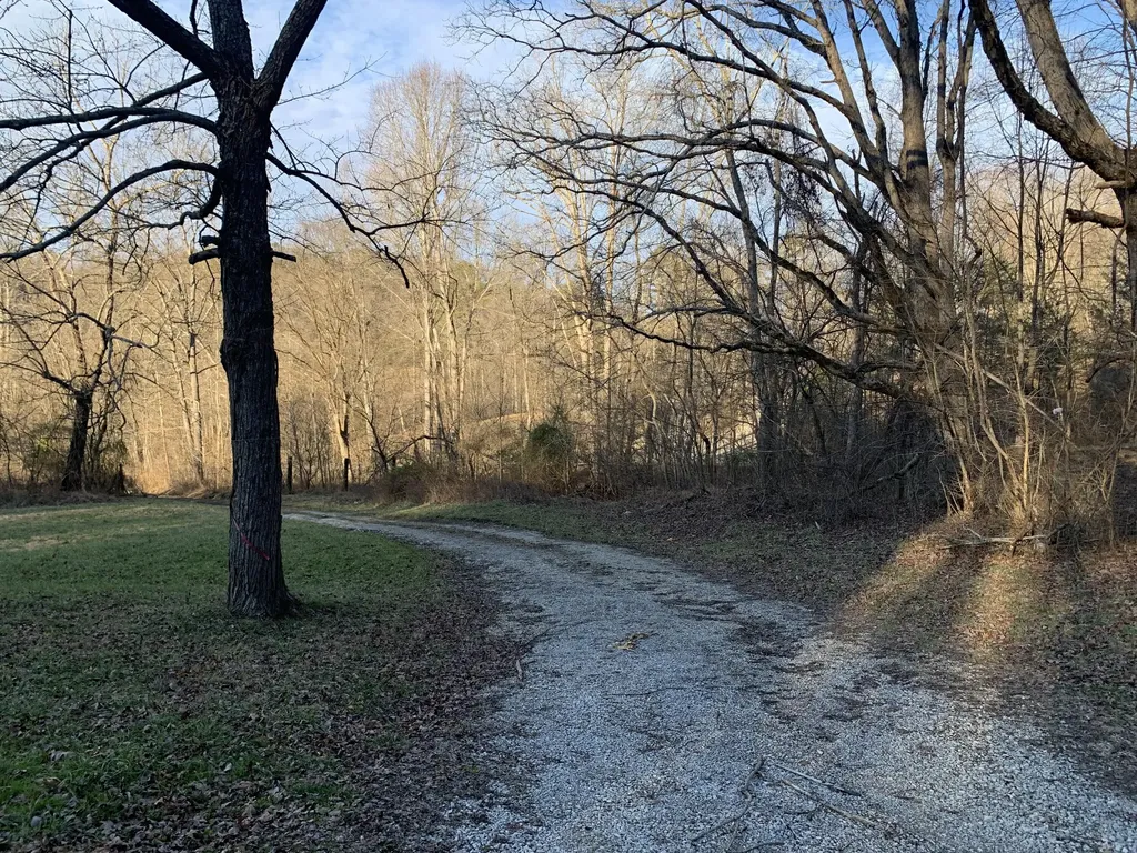 877 Bear Hollow Road Rockholds KY 40759