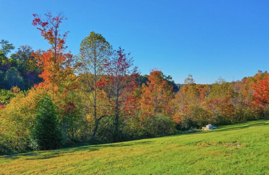 6153 Us Highway 25 East Bernstadt KY 40729