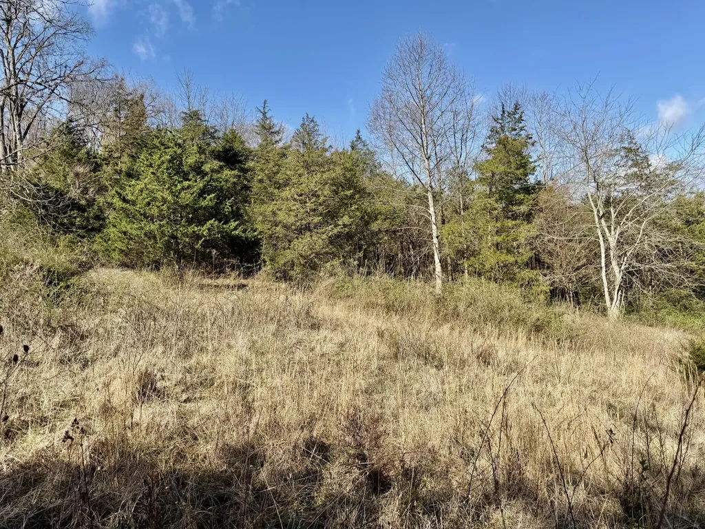 0 Countryside Circle Mt Vernon KY 40456