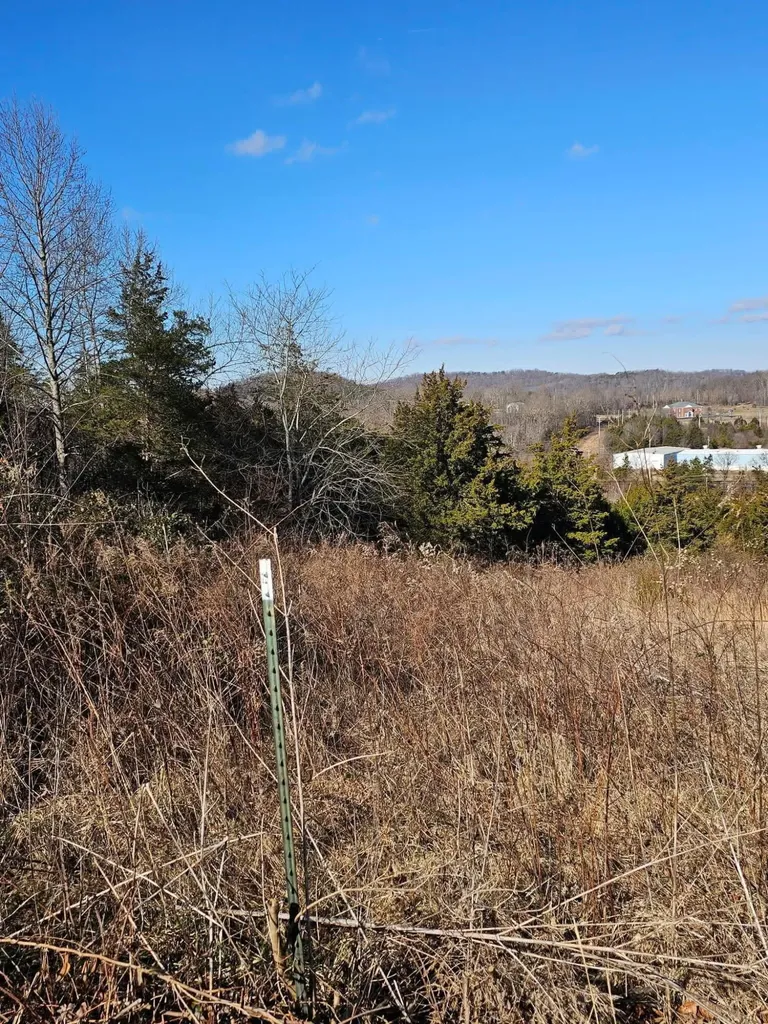 0 Countryside Circle Mt Vernon KY 40456