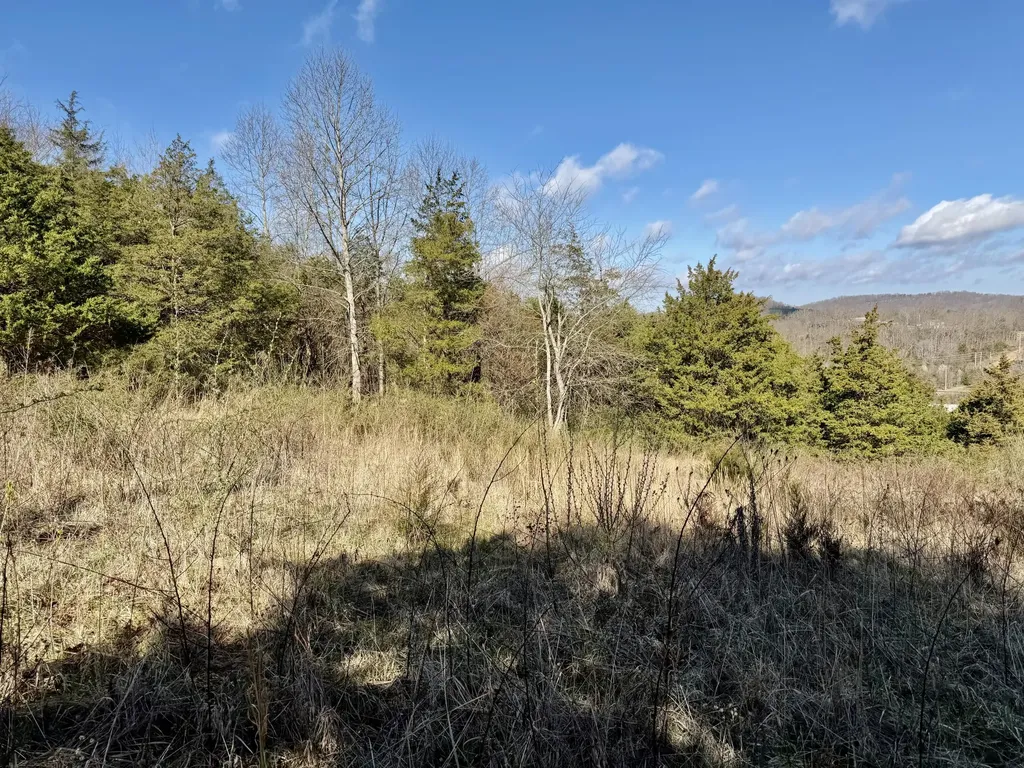 0 Countryside Circle Mt Vernon KY 40456