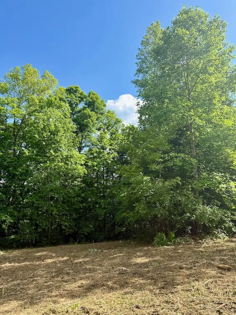 16 Wooldridge Road Jamestown KY 42629