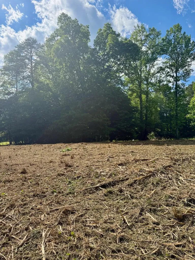 16 Wooldridge Road Jamestown KY 42629