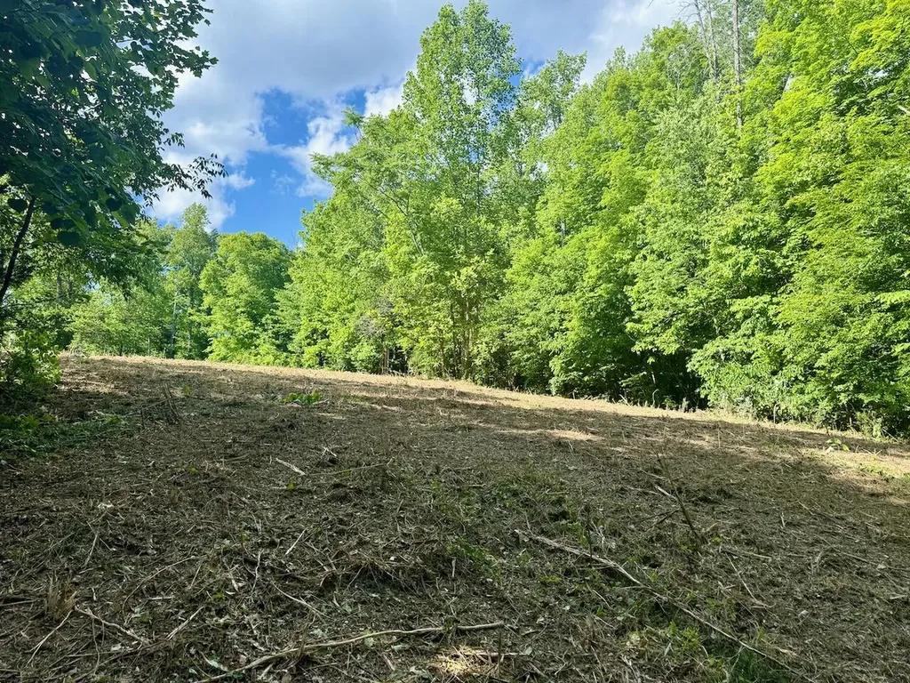 16 Wooldridge Road Jamestown KY 42629