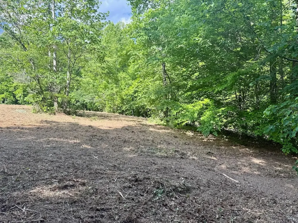 16 Wooldridge Road Jamestown KY 42629