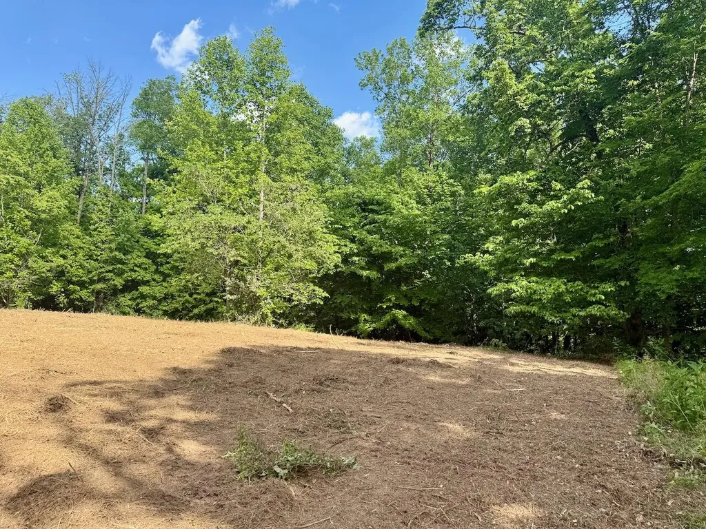 16 Wooldridge Road Jamestown KY 42629