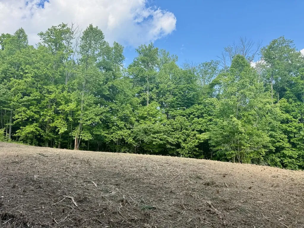 16 Wooldridge Road Jamestown KY 42629