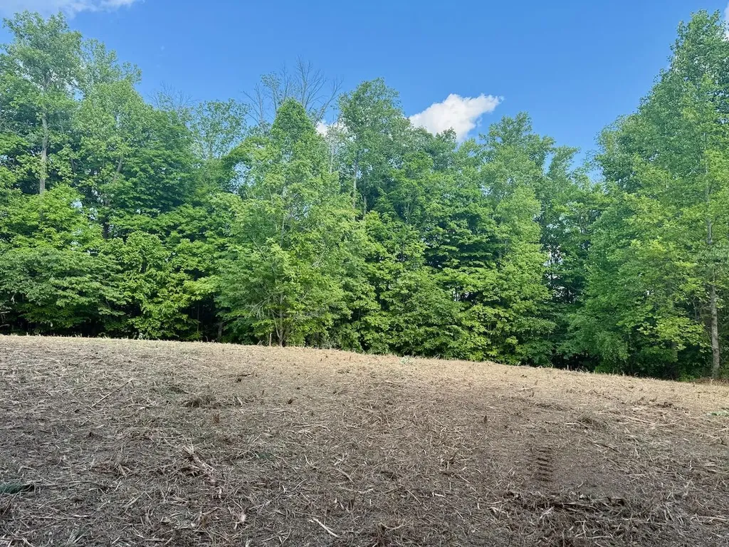 16 Wooldridge Road Jamestown KY 42629