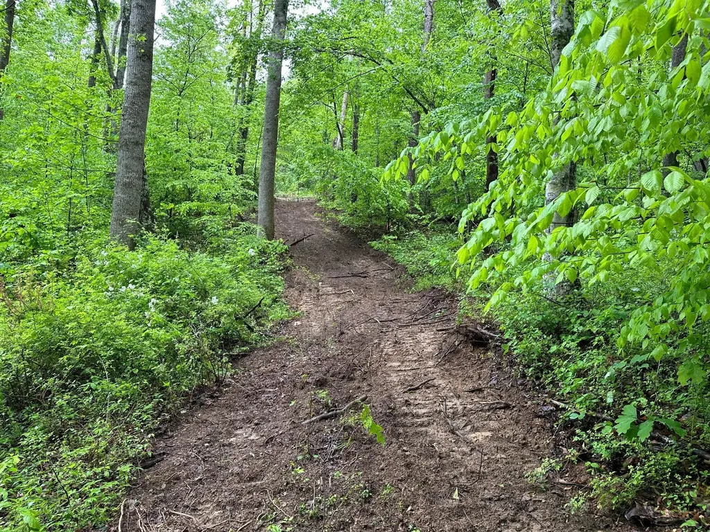 245 Mcconnell Branch Road Olive Hill KY 41164