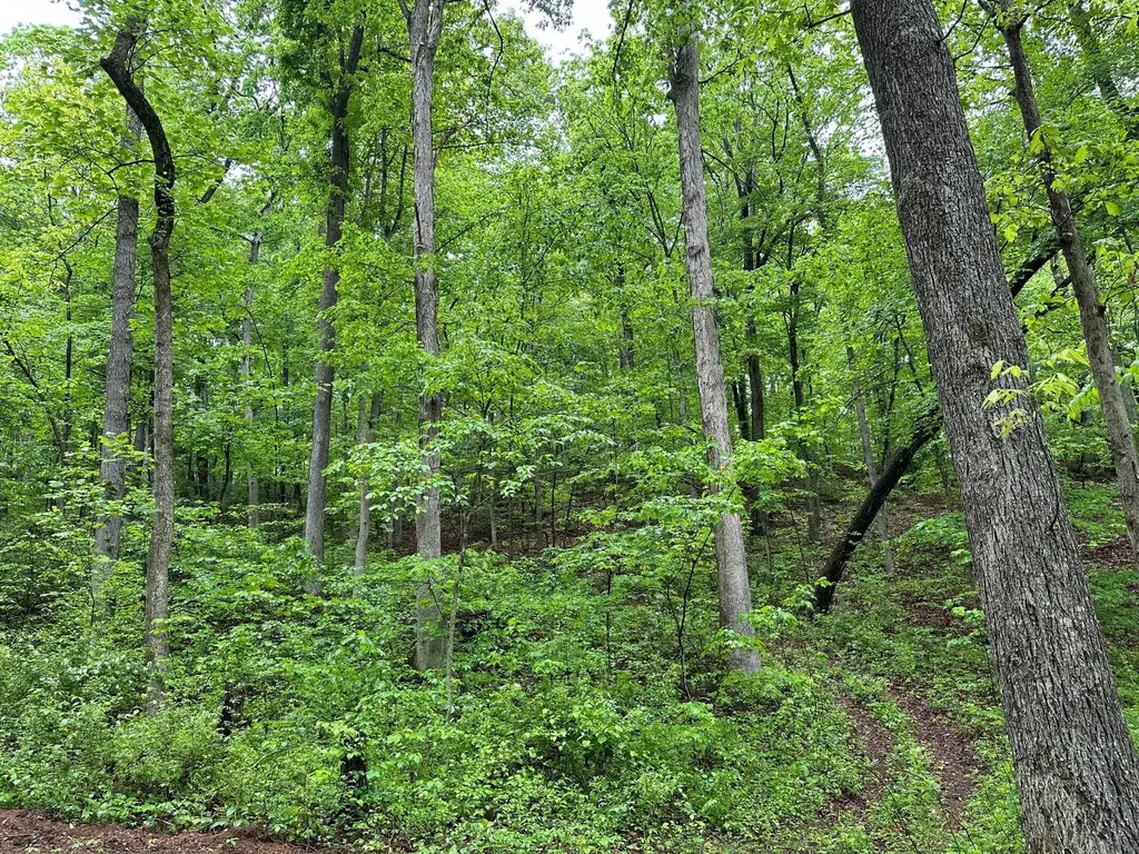 245 Mcconnell Branch Road Olive Hill KY 41164