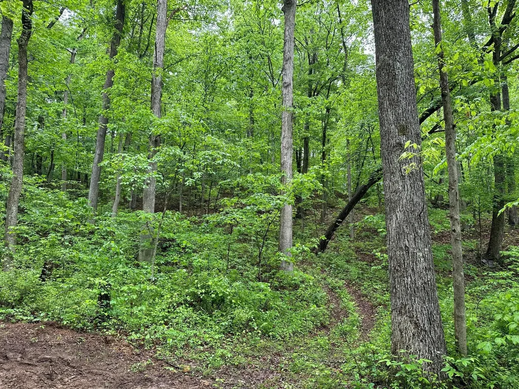 245 Mcconnell Branch Road Olive Hill KY 41164