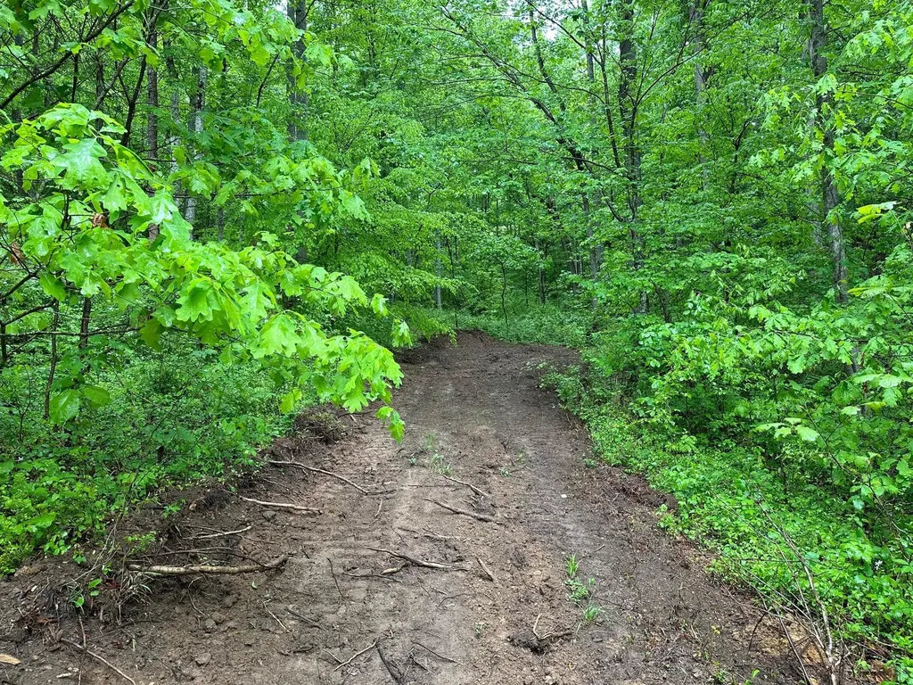 245 Mcconnell Branch Road Olive Hill KY 41164