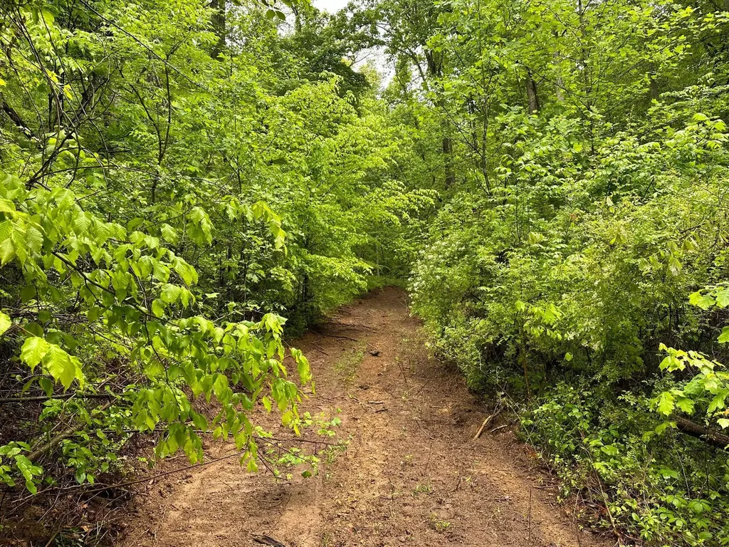 245 Mcconnell Branch Road Olive Hill KY 41164