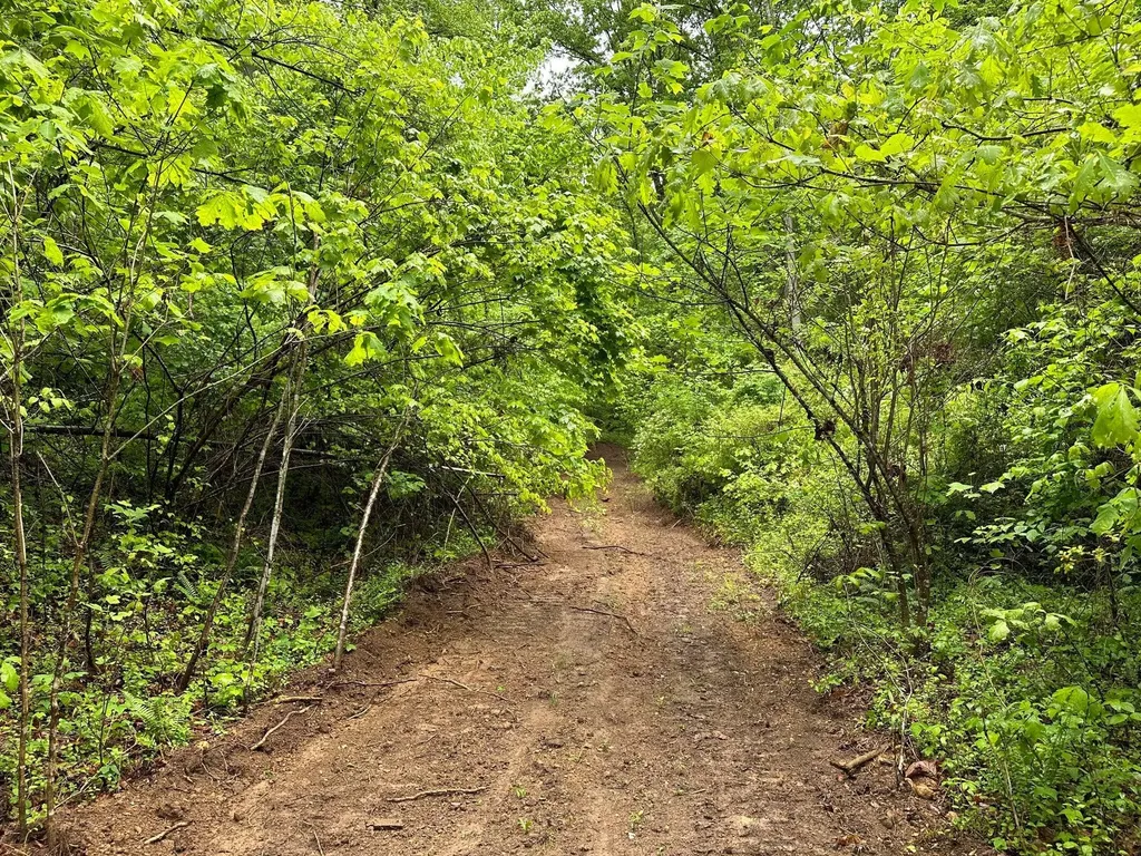 245 Mcconnell Branch Road Olive Hill KY 41164