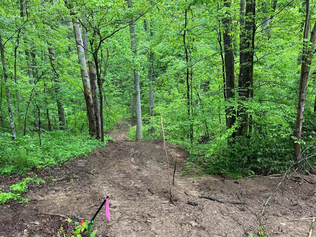 245 Mcconnell Branch Road Olive Hill KY 41164
